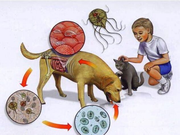 ways of infecting a child with parasites